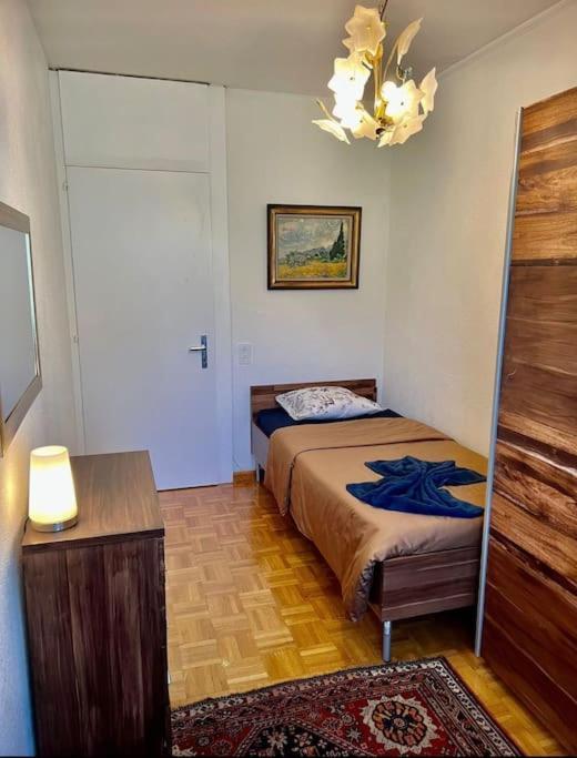 Appartement 7,0 Pieces 3 Chambres Proximite Aeroport Geneva Exterior photo